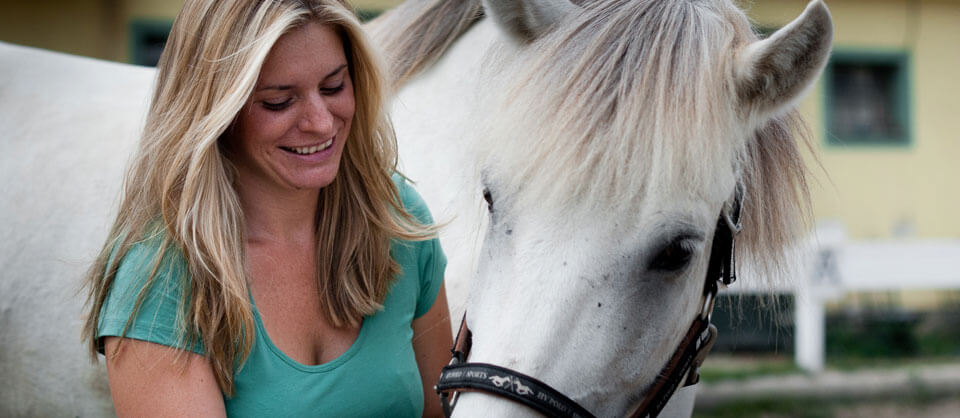 Chiro-Vet Chiropraktiche Behandlung für Pferde und Hunde